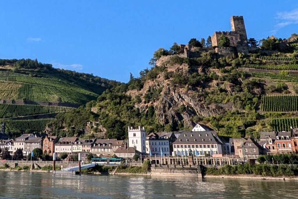 Rheinansicht, im Hintergrund Häuser und eine Burg